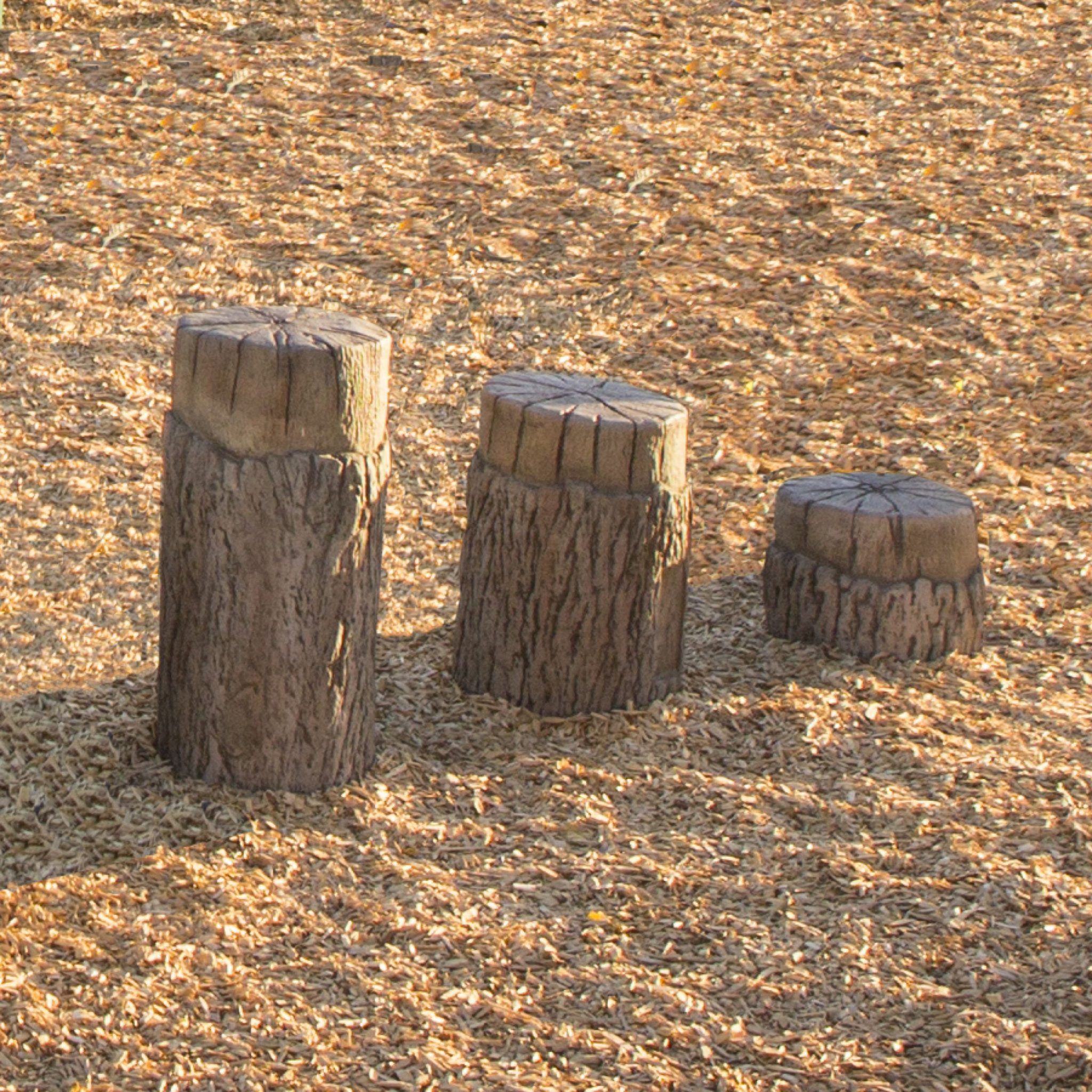 Tree Stumps (Ages 512) Components PDPlay