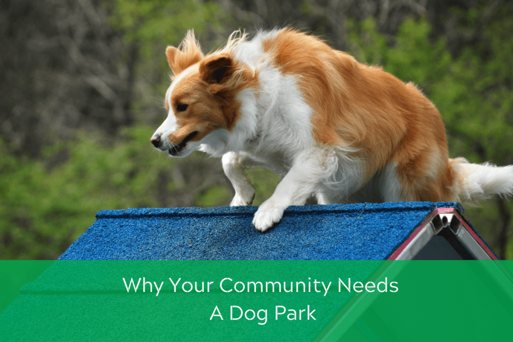 Dog Community Why Your Community Needs a Dog Park - PD Play - Commercial Playground ...
