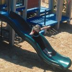 The "surf meets the turf" with this popular Wave Slide!