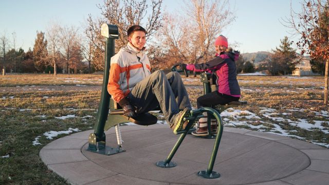 Pro Series Arm Curl and Rower